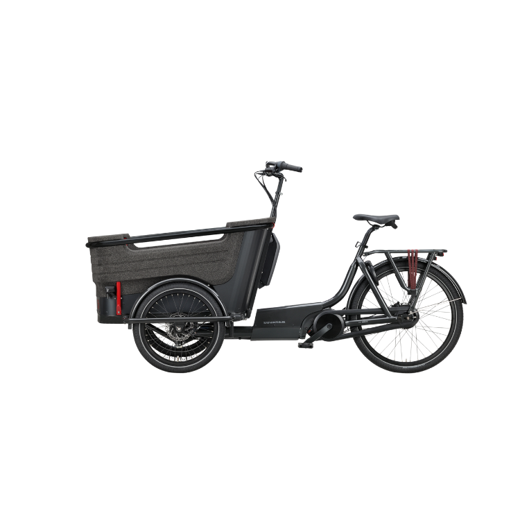 Batavus Fier 3 (1)