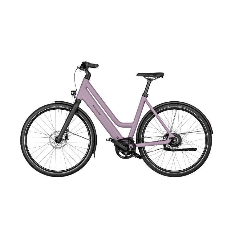 Riese & Muller Culture Mixte Vario 2